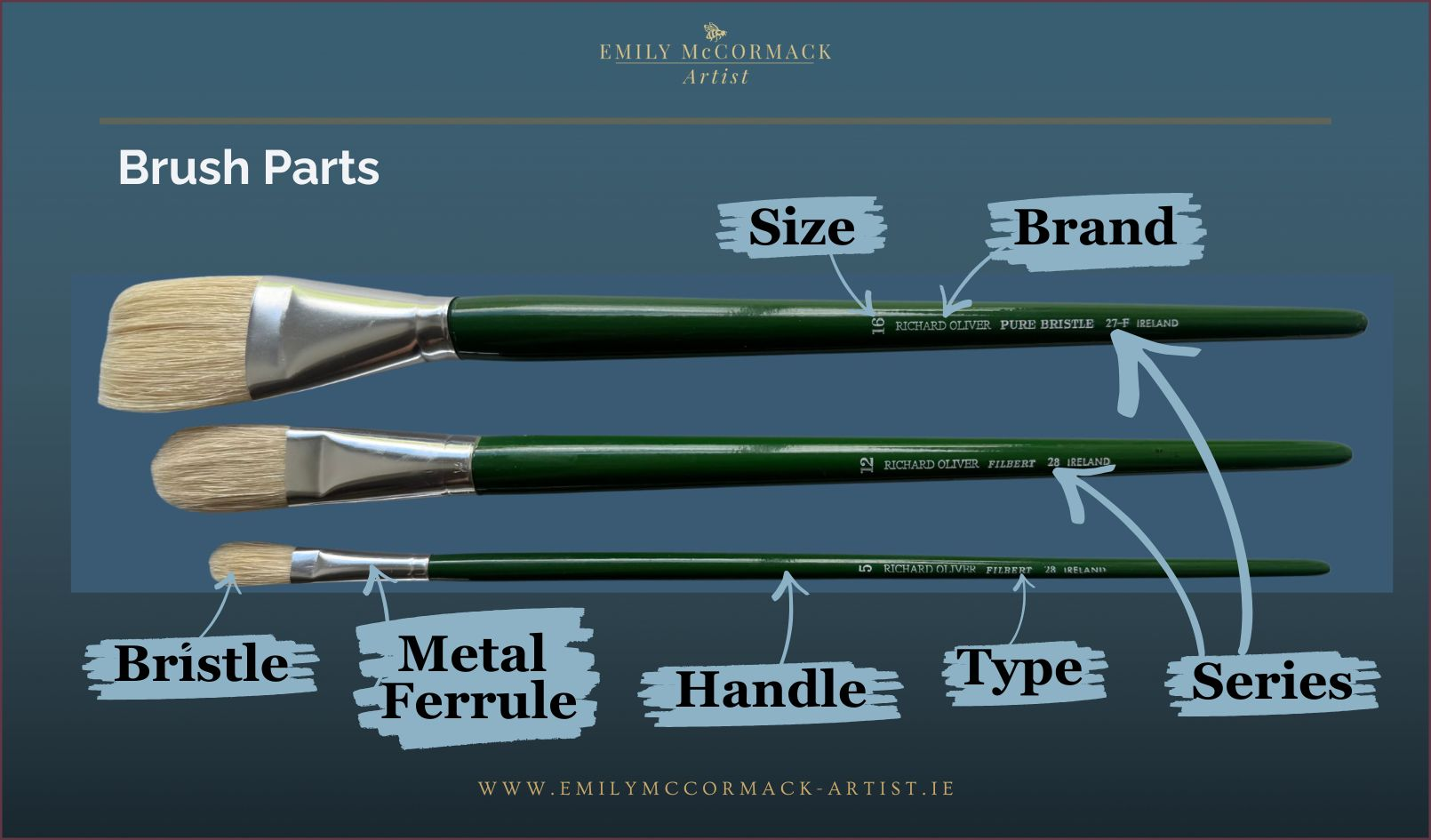 Diagram of oil painting brush parts labelled bristle, ferrule, handle, size, brand, type, and series.