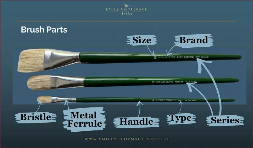 Diagram of oil painting brush parts labelled bristle, ferrule, handle, size, brand, type, and series.