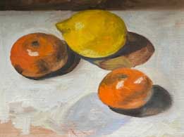 oranges and lemons still life