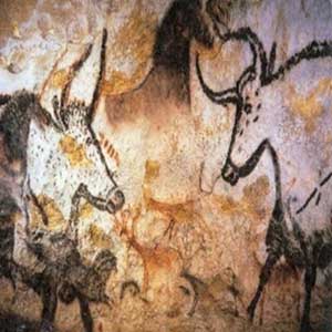 The Hall of the Bulls Lascaux Cave