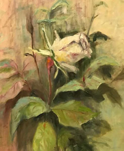 a rose by any other name a rose by any other name