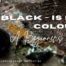 Is black a colour?
