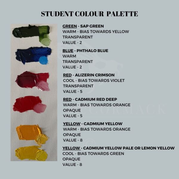 student colour palette