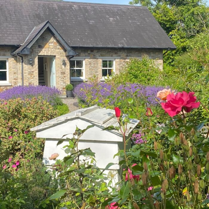 Art School in Dunboyne