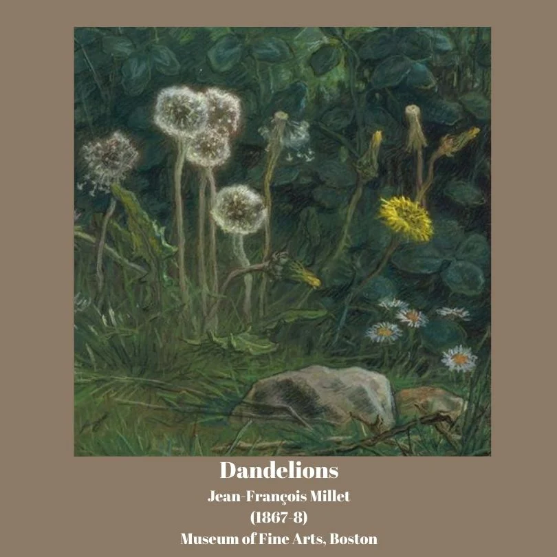 Dandelions Jean-François Millet Pastel Drawing