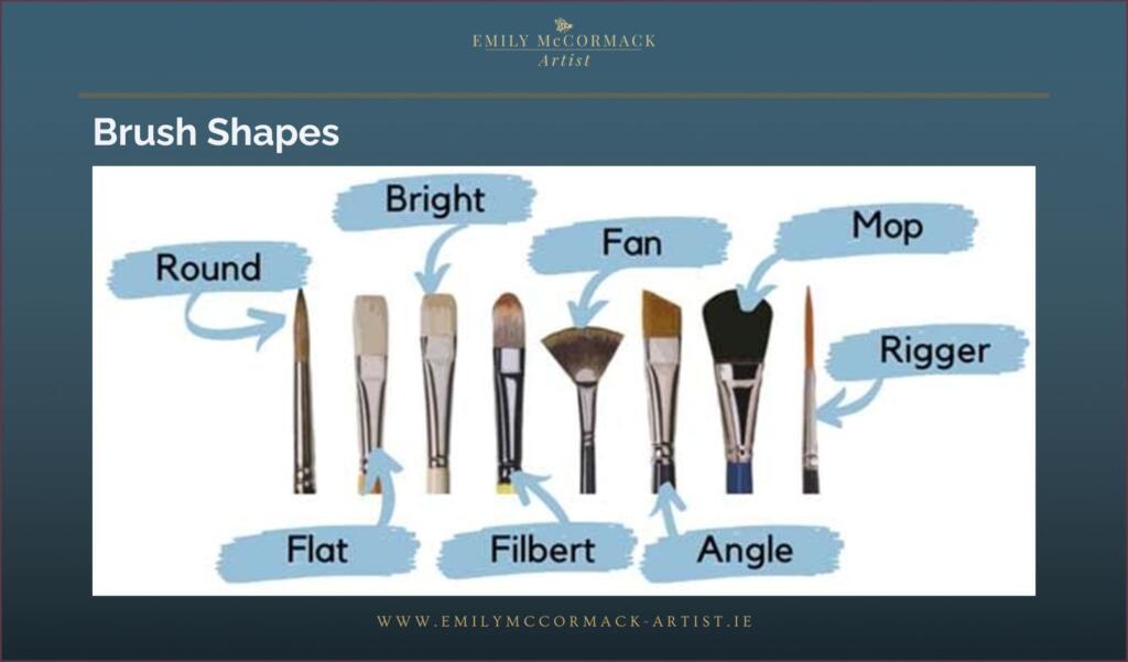 Brush shapes for oil painting Image showing eight common oil painting brush shapes including round, flat, bright, filbert, fan, angle, mop, and rigger, each clearly labelled.